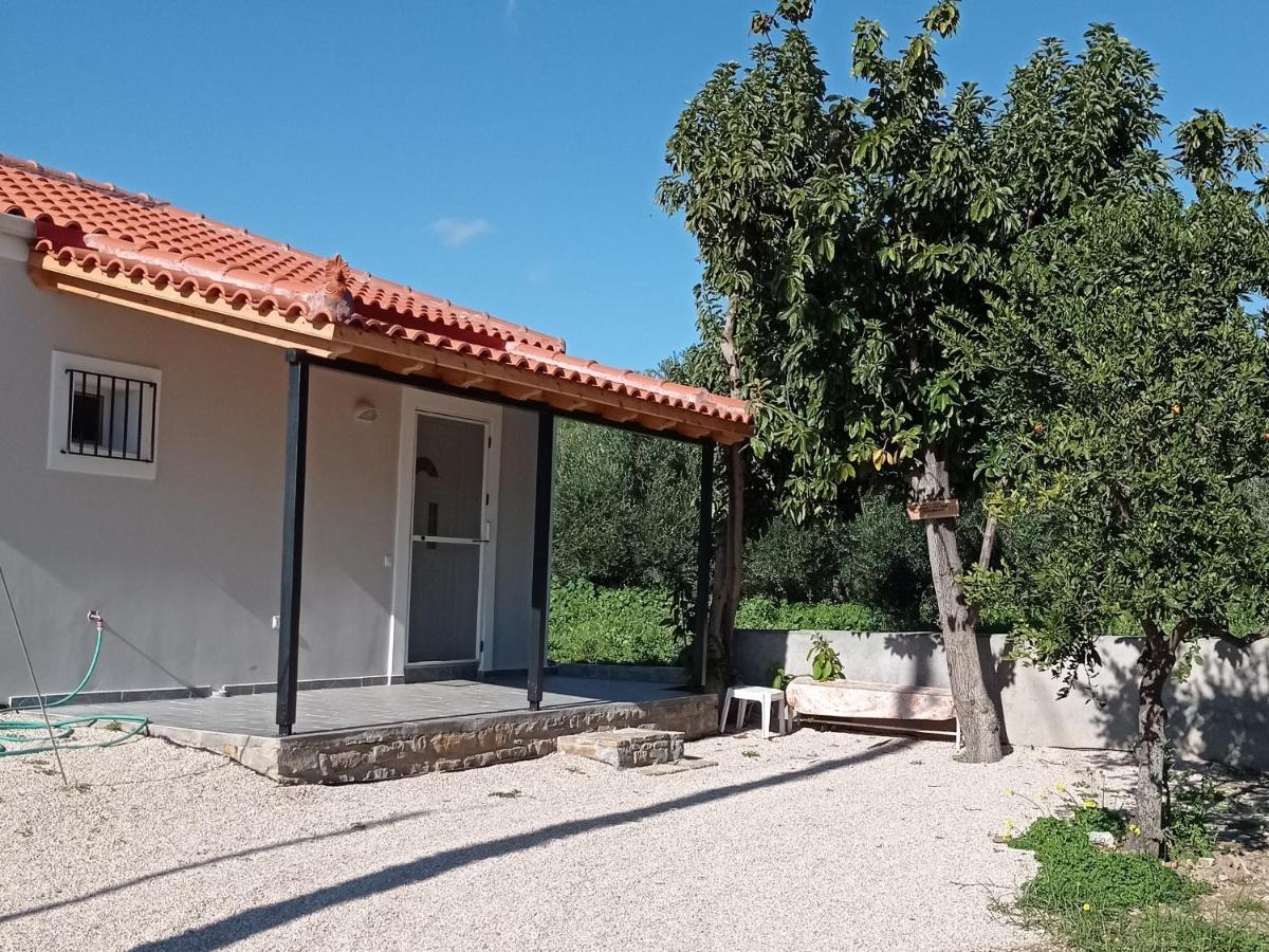 Avocado House Villa Финикунда Екстериор снимка