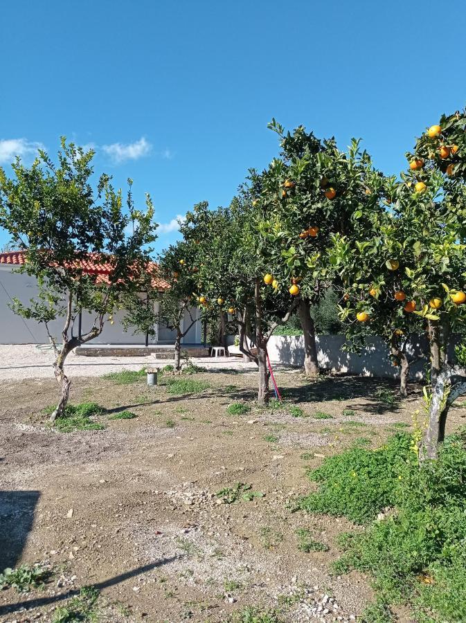 Avocado House Villa Финикунда Екстериор снимка