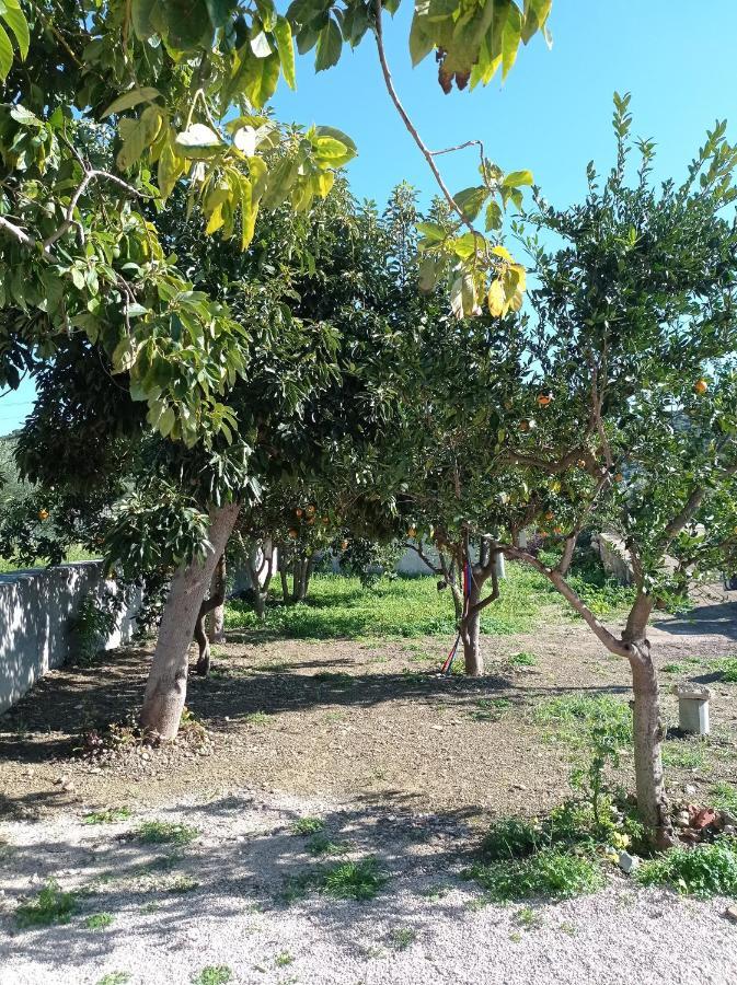 Avocado House Villa Финикунда Екстериор снимка