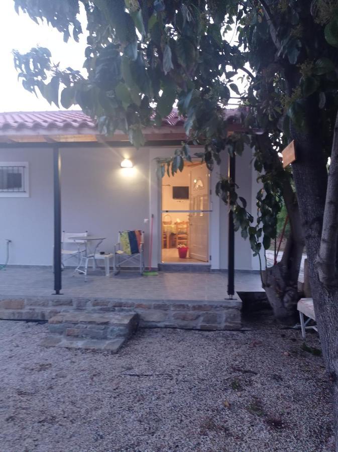 Avocado House Villa Финикунда Екстериор снимка