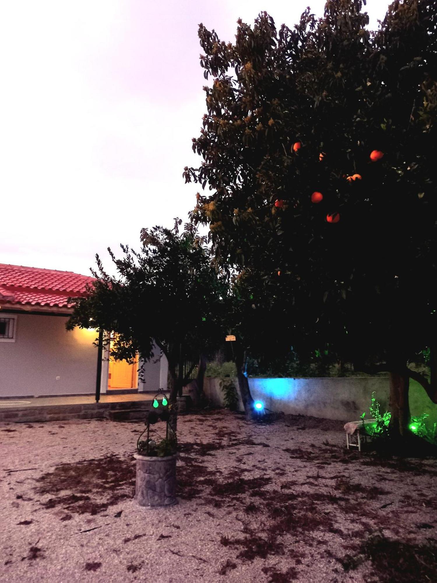 Avocado House Villa Финикунда Екстериор снимка