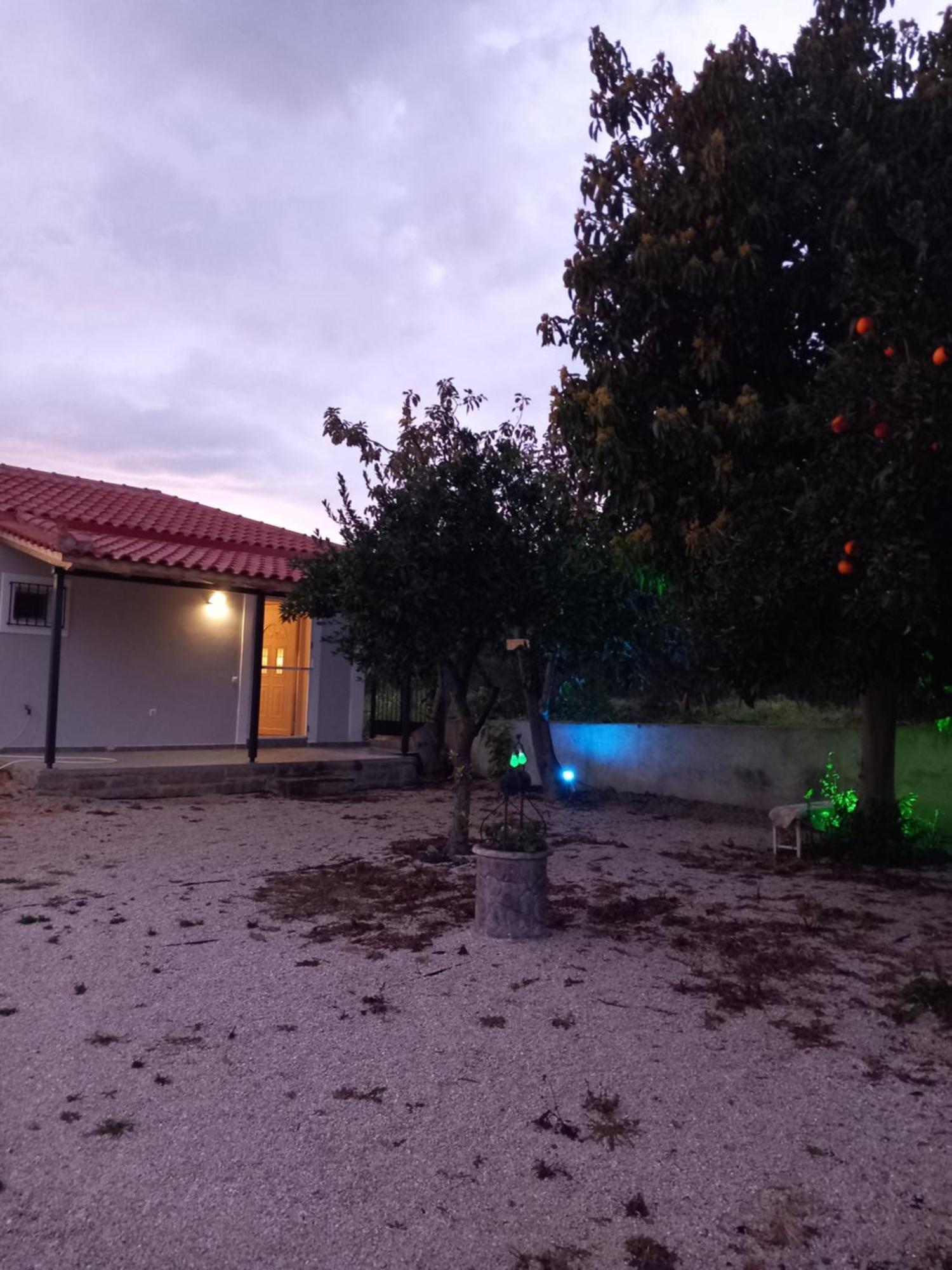Avocado House Villa Финикунда Екстериор снимка